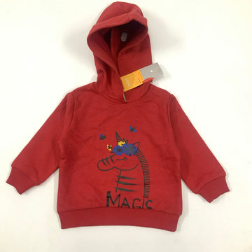 Magic Hooded Sweatshirt