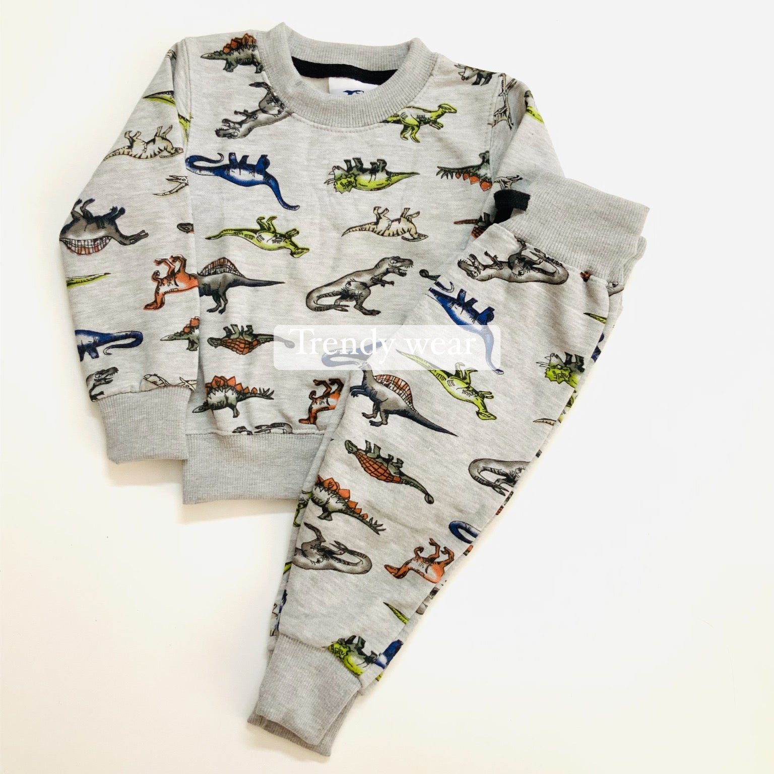 Dino Print Tracksuit