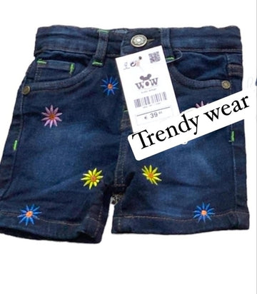 Floral Embroidered Denim Shorts