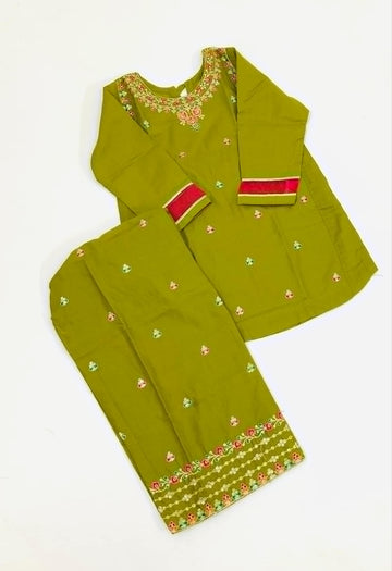 2-Piece Embroidered Dhani Green Dress