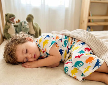 Wow Kids Dino Print Lounge Wear Set